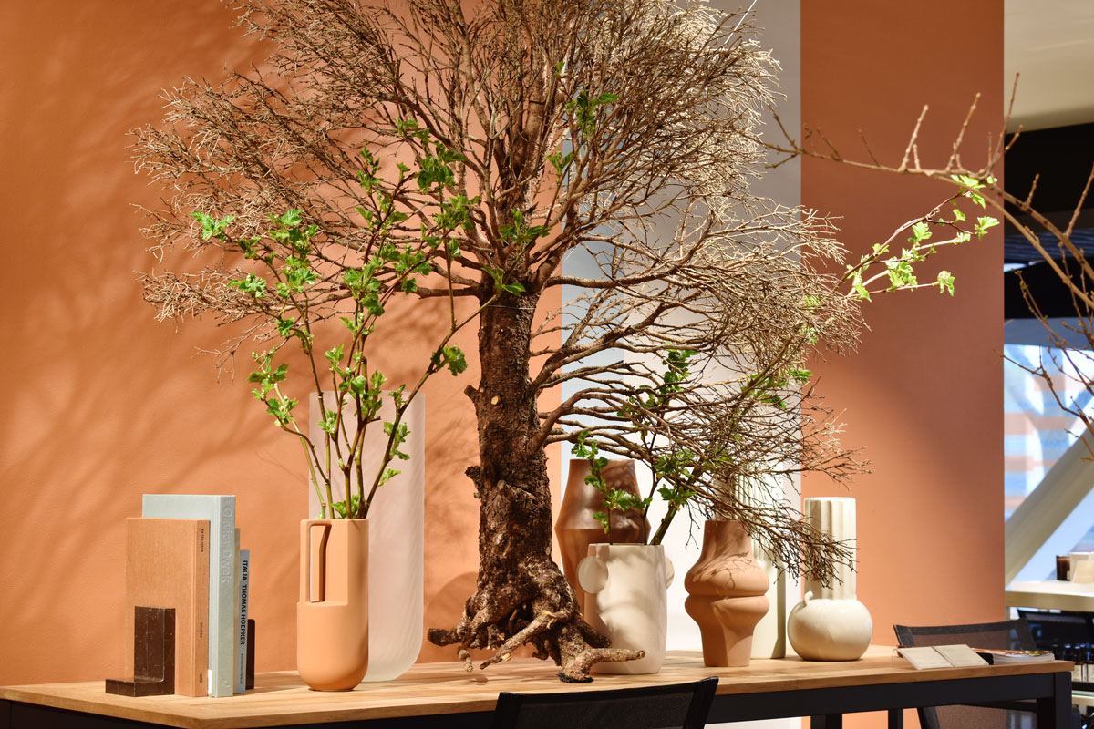 LIVING MOTIF店内の花器・書籍・植物を使ったディスプレイ